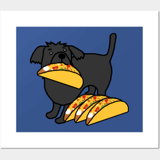 Animals with Food Cute Dog Eats Tacos Posters and Art